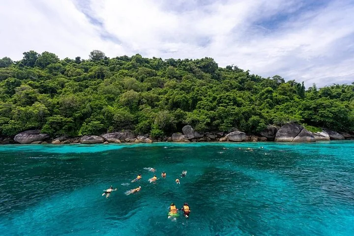 Personnes faisant du snorkeling dans une eau verte et claire près d'une île luxuriante